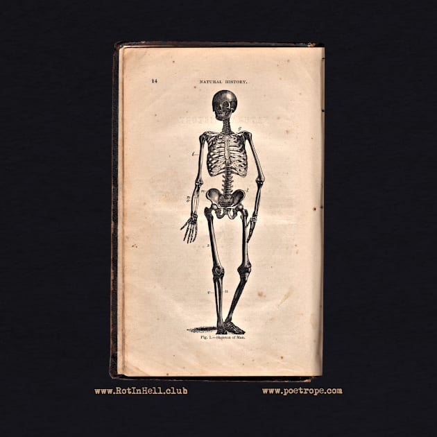 “HUMAN SKELETON” – HOOKER’S NATURAL HISTORY (1874) by Rot In Hell Club